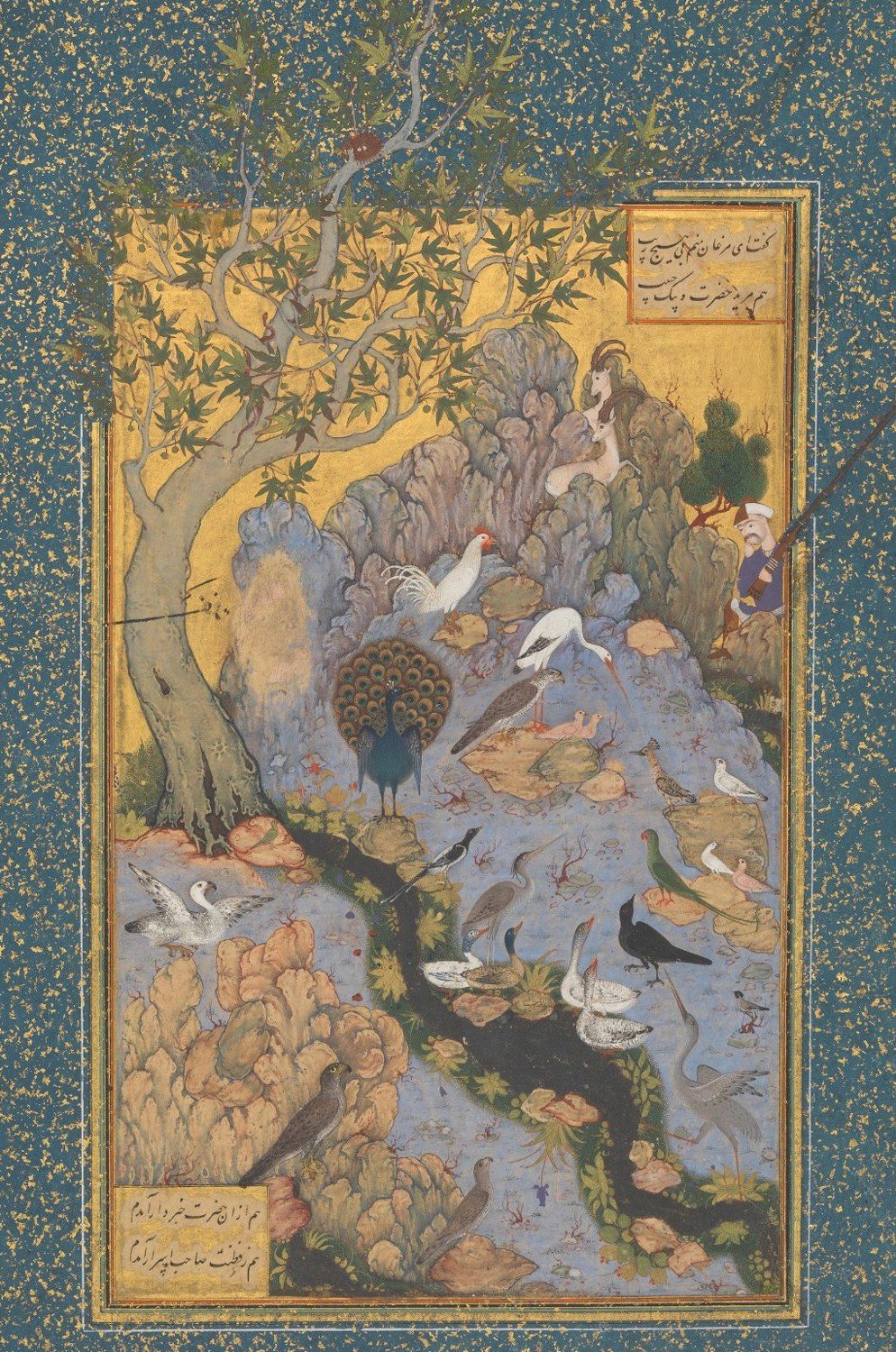 Persian miniature painting of a gathering of birds beside a stream beneath a tree, on a deep blue page flecked with gold